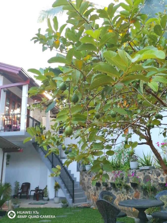 Villa Wismar Hikkaduwa Exterior foto